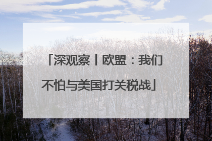 深观察丨欧盟：我们不怕与美国打关税战