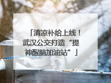 清凉补给上线！武汉公交打造“提神醒脑加油站”
