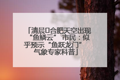 清晨﻿合肥天空出现“鱼鳞云” 市民：似乎预示“鱼跃龙门” 气象专家科普