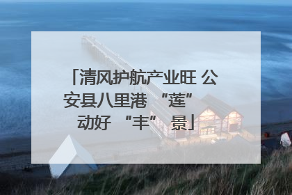 清风护航产业旺 公安县八里港 “莲” 动好 “丰” 景