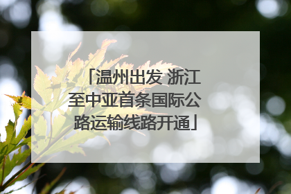 温州出发 浙江至中亚首条国际公路运输线路开通