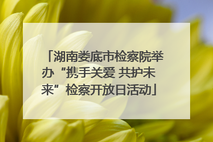 湖南娄底市检察院举办“携手关爱 共护未来”检察开放日活动