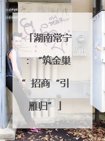 湖南常宁：“筑金巢”招商“引雁归”