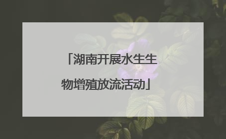湖南开展水生生物增殖放流活动