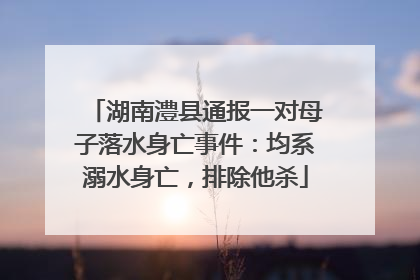 湖南澧县通报一对母子落水身亡事件：均系溺水身亡，排除他杀