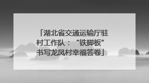 湖北省交通运输厅驻村工作队：“铁脚板”书写龙凤村幸福答卷