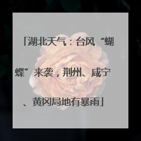 湖北天气：台风“蝴蝶”来袭，荆州、咸宁、黄冈局地有暴雨