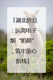 湖北房县：远离电子烟“陷阱”，筑牢童心防线