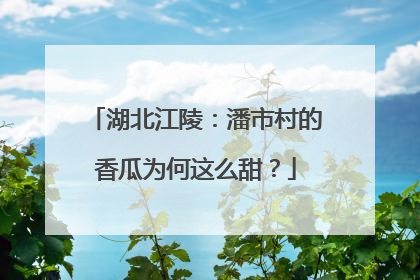 湖北江陵：潘市村的香瓜为何这么甜？