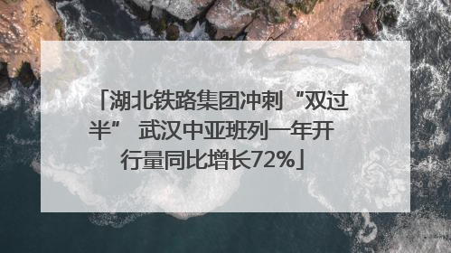湖北铁路集团冲刺“双过半” 武汉中亚班列一年开行量同比增长72%