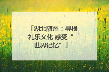 湖北随州：寻根礼乐文化 感受“世界记忆”