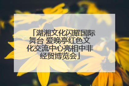 湖湘文化闪耀国际舞台 爱晚亭红色文化交流中心亮相中非经贸博览会