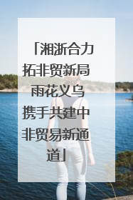 湘浙合力拓非贸新局 雨花义乌携手共建中非贸易新通道