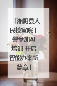 湘阴县人民检察院干警参加AI培训 开启智能办案新篇章