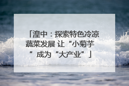 湟中：探索特色冷凉蔬菜发展 让“小菊芋”成为“大产业”