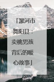 漯河市舞阳县：卖桃男孩背后的暖心故事