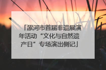 漯河市首届非遗展演年活动“文化与自然遗产日”专场演出侧记