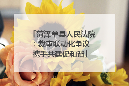 菏泽单县人民法院：裁审联动化争议 携手共建促和谐