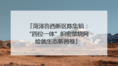 菏泽鲁西新区陈集镇：“四位一体”织密禁烧网 绘就生态新画卷