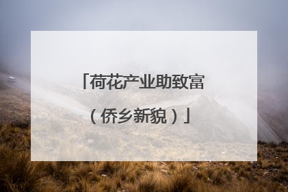 荷花产业助致富（侨乡新貌）