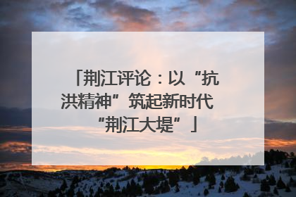 荆江评论：以“抗洪精神”筑起新时代“荆江大堤”