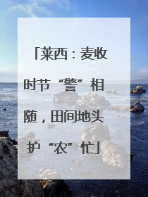 莱西：麦收时节“警”相随，田间地头护“农”忙