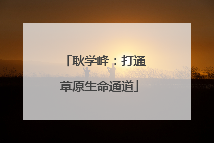 耿学峰：打通草原生命通道