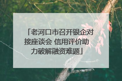 老河口市召开银企对接座谈会 信用评价助力破解融资难题