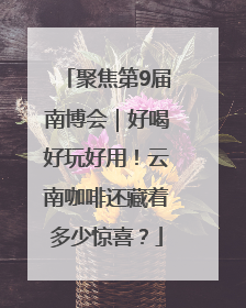 聚焦第9届南博会｜好喝好玩好用！云南咖啡还藏着多少惊喜？