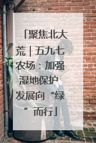 聚焦北大荒｜五九七农场：加强湿地保护 发展向“绿”而行