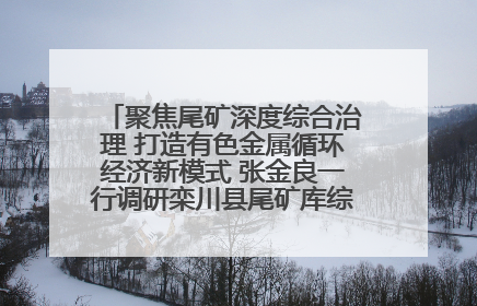 聚焦尾矿深度综合治理 打造有色金属循环经济新模式 张金良一行调研栾川县尾矿库综合治理工作