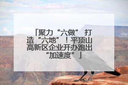 聚力“六做” 打造“六地”！平顶山高新区企业开办跑出“加速度”