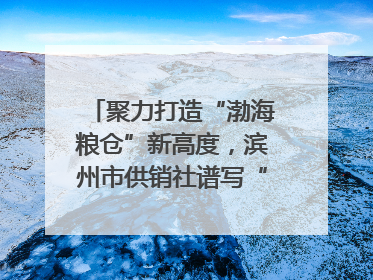 聚力打造“渤海粮仓”新高度，滨州市供销社谱写“三夏”丰收乐章