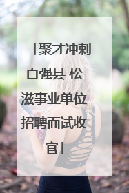 聚才冲刺百强县 松滋事业单位招聘面试收官