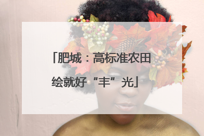肥城：高标准农田绘就好“丰”光