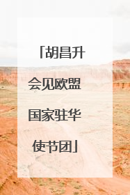 胡昌升会见欧盟国家驻华使节团