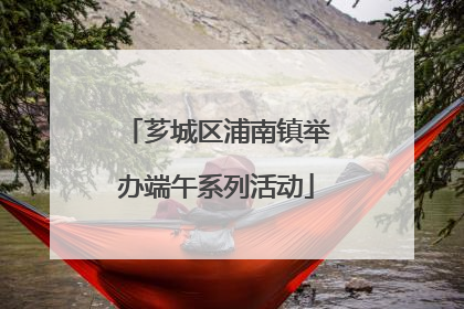 芗城区浦南镇举办端午系列活动