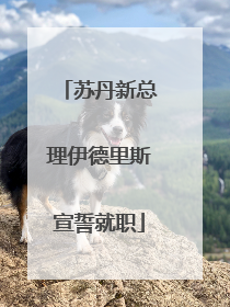 苏丹新总理伊德里斯宣誓就职