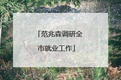 范兆森调研全市就业工作