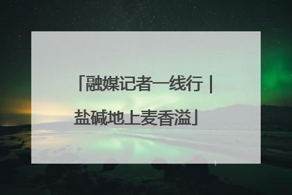 融媒记者一线行｜盐碱地上麦香溢