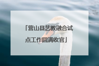 营山县艺教融合试点工作圆满收官