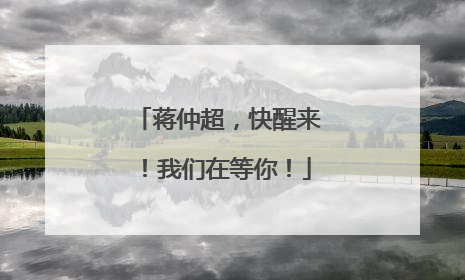蒋仲超，快醒来！我们在等你！