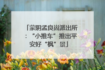蒙阴孟良崮派出所：“小推车”推出平安好“枫”景