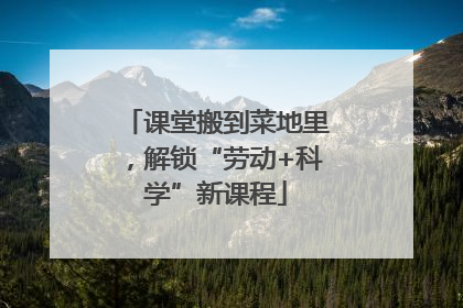 课堂搬到菜地里，解锁“劳动+科学”新课程