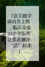 语文数学体育齐上阵，临沂金雀山小学乐考让素养测评“活”起来