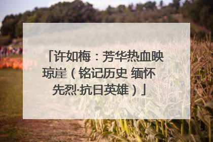 许如梅：芳华热血映琼崖（铭记历史 缅怀先烈·抗日英雄）