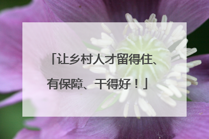 让乡村人才留得住、有保障、干得好！