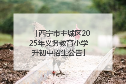 西宁市主城区2025年义务教育小学升初中招生公告