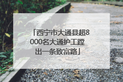 西宁市大通县超8000名大通护工蹚出一条致富路