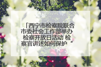 西宁市检察院联合市委社会工作部举办检察开放日活动 检察官讲述如何保护“少年的你”